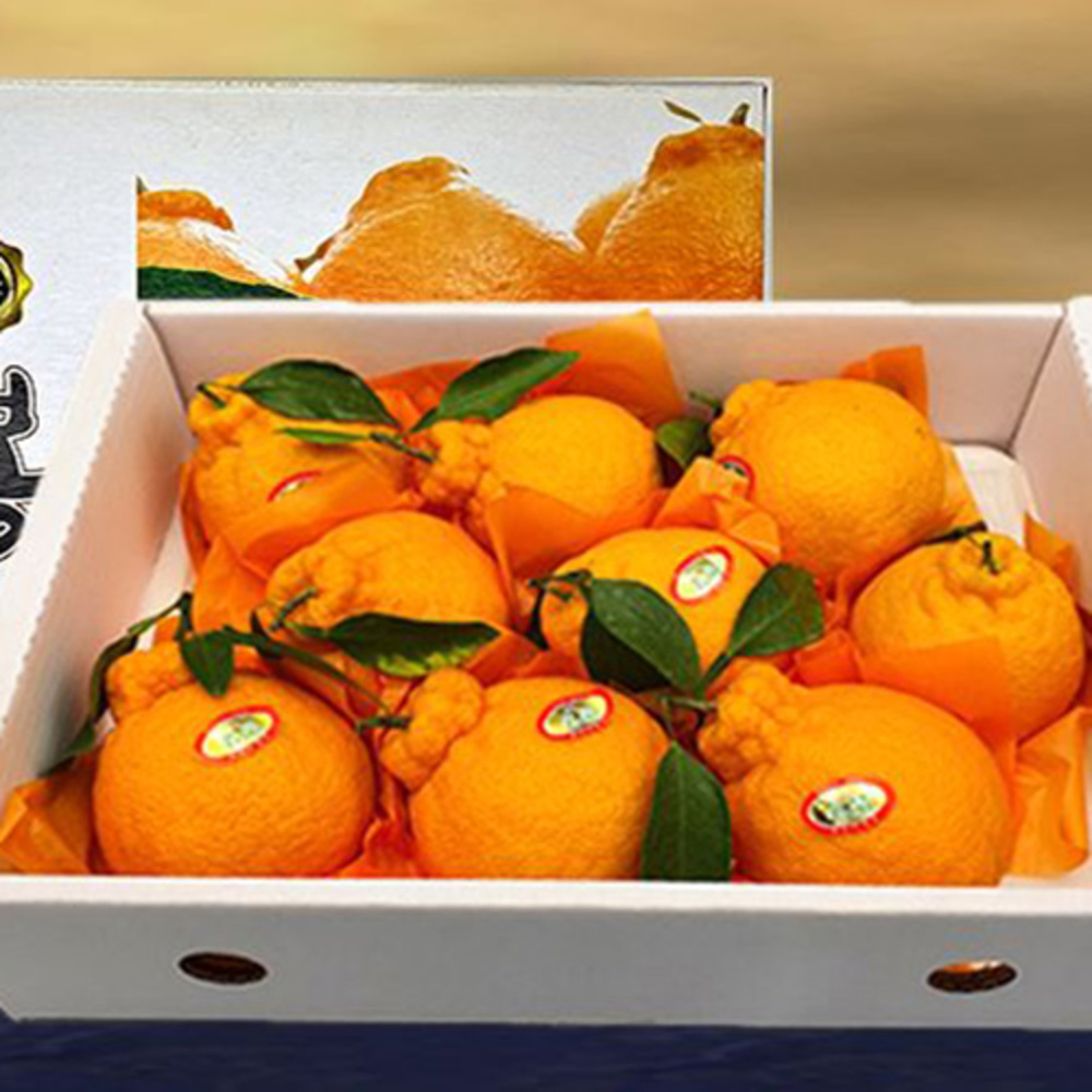 1769746952 thumbnail