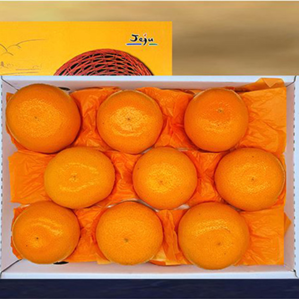 1769746953 thumbnail