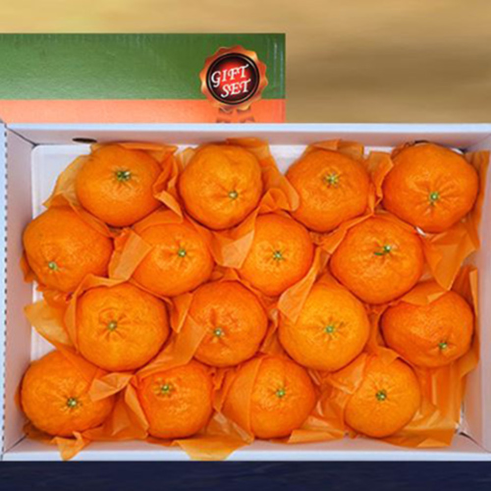 1769746954 thumbnail