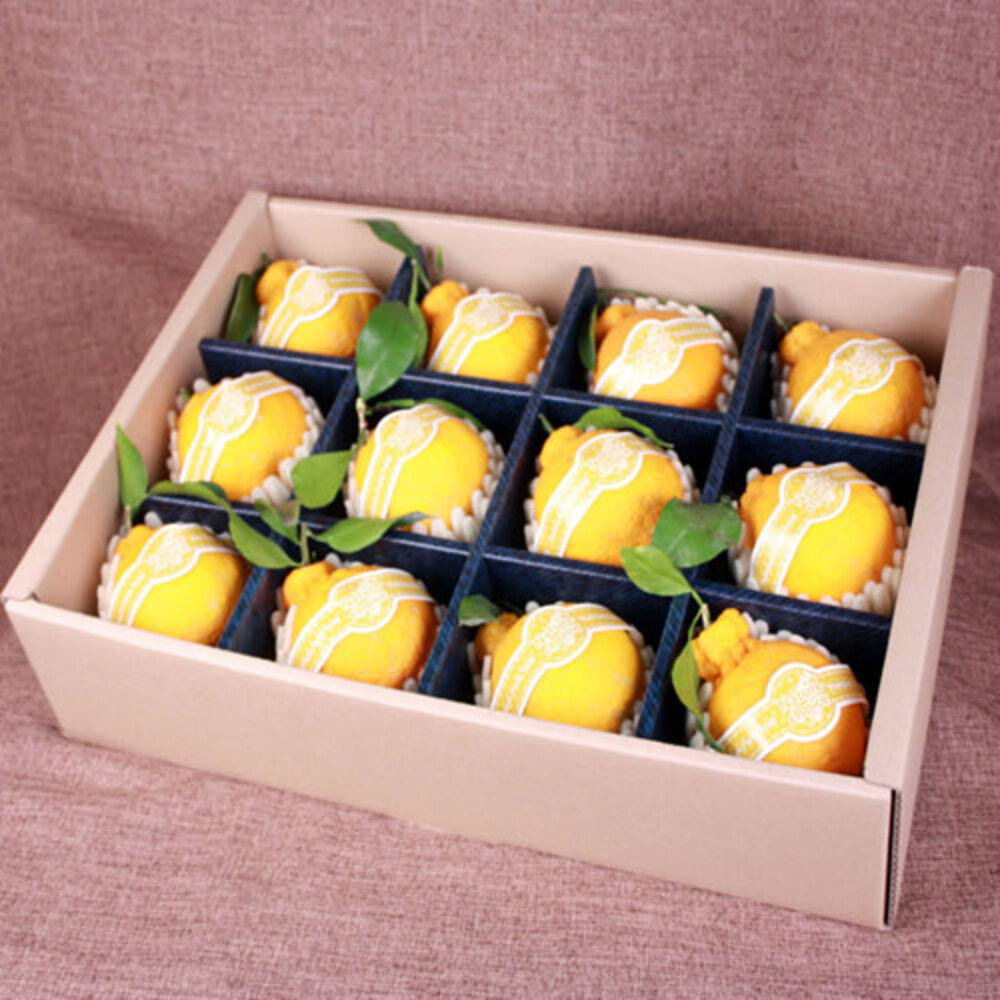 1769746959 thumbnail