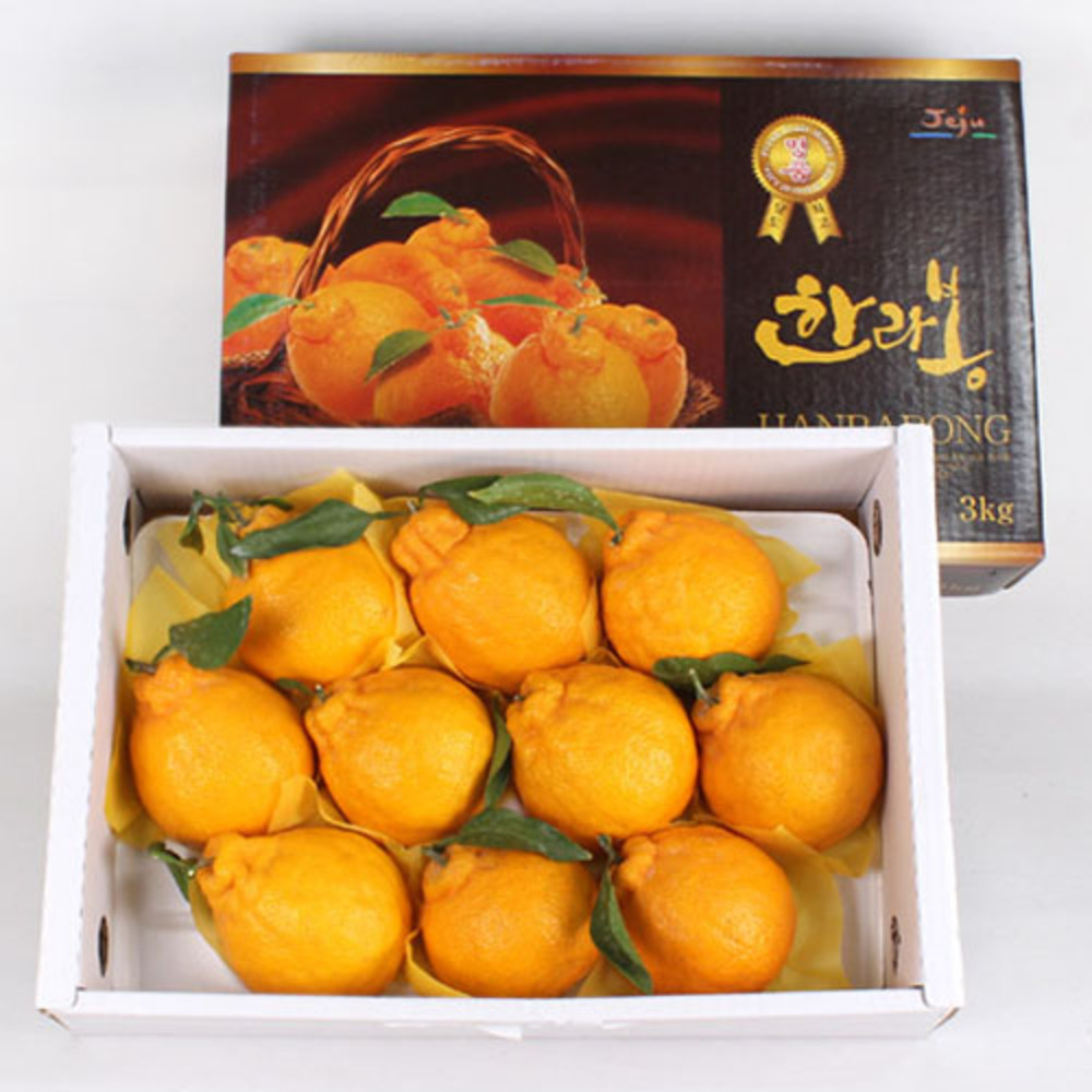 1769746962 thumbnail