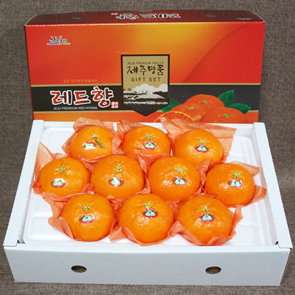 1769746963 thumbnail