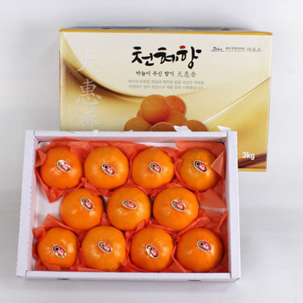 1769746965 thumbnail