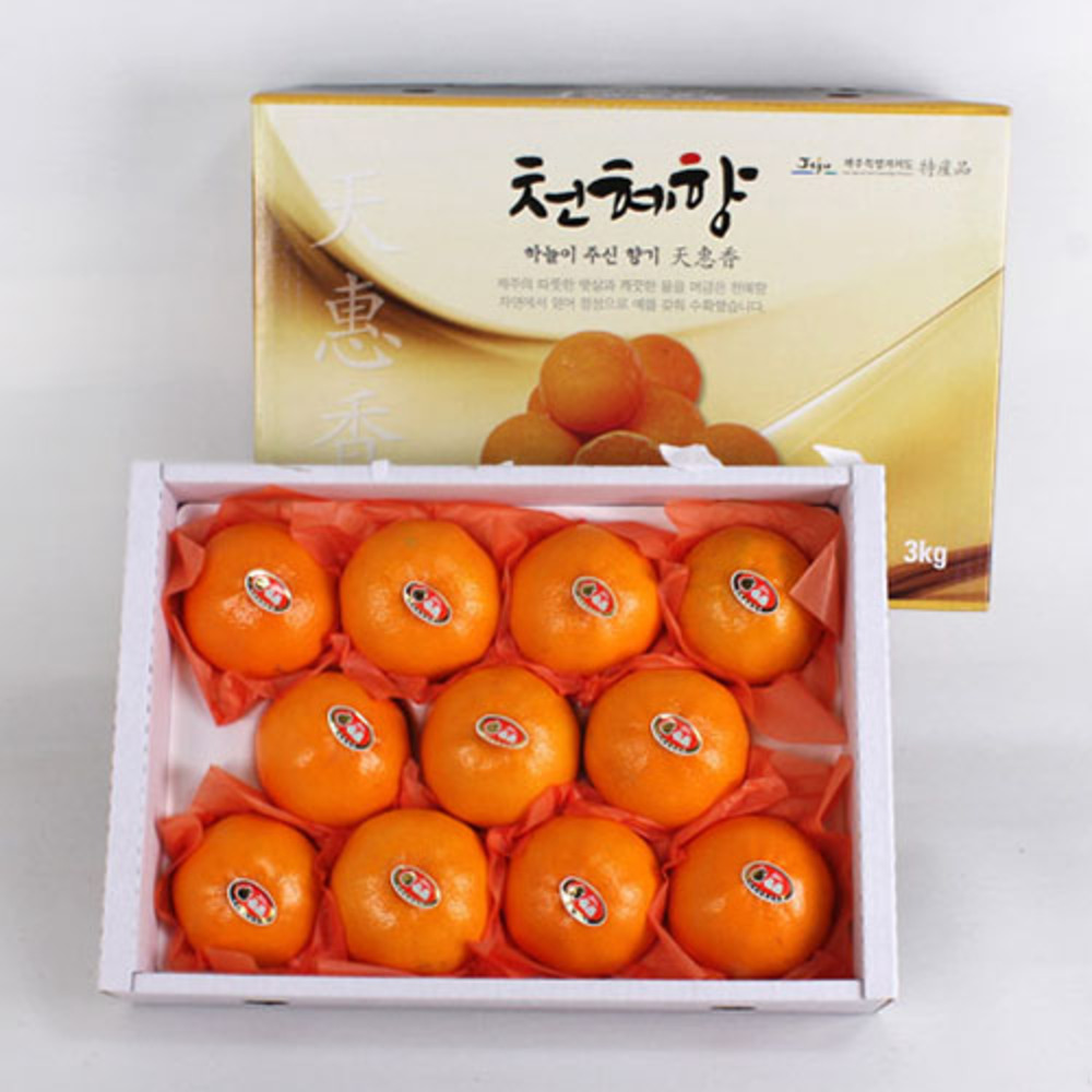 1769746966 thumbnail