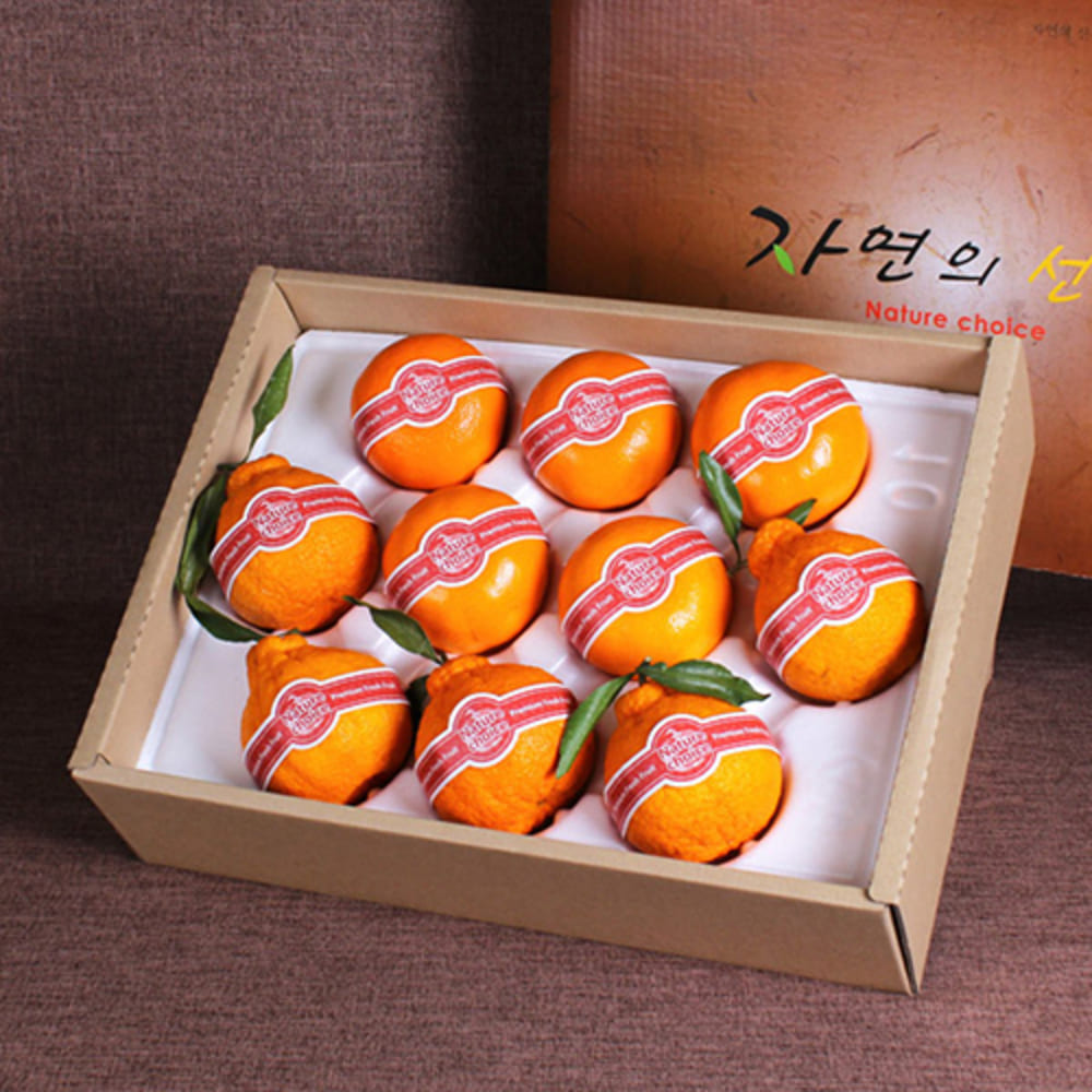 1769746969 thumbnail