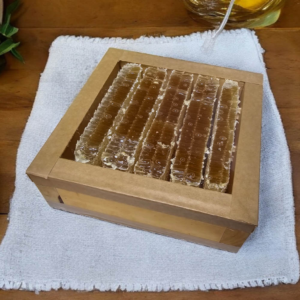 1770106034 thumbnail