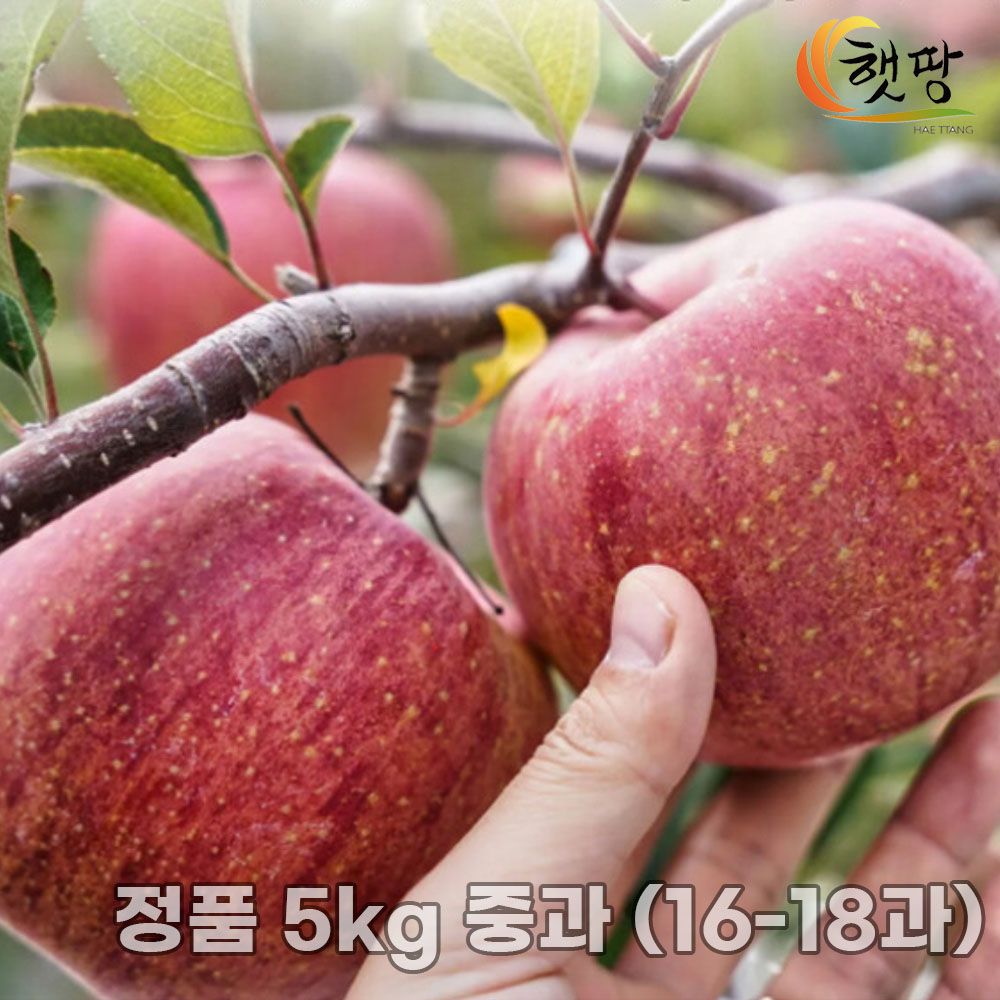 1770192257 thumbnail