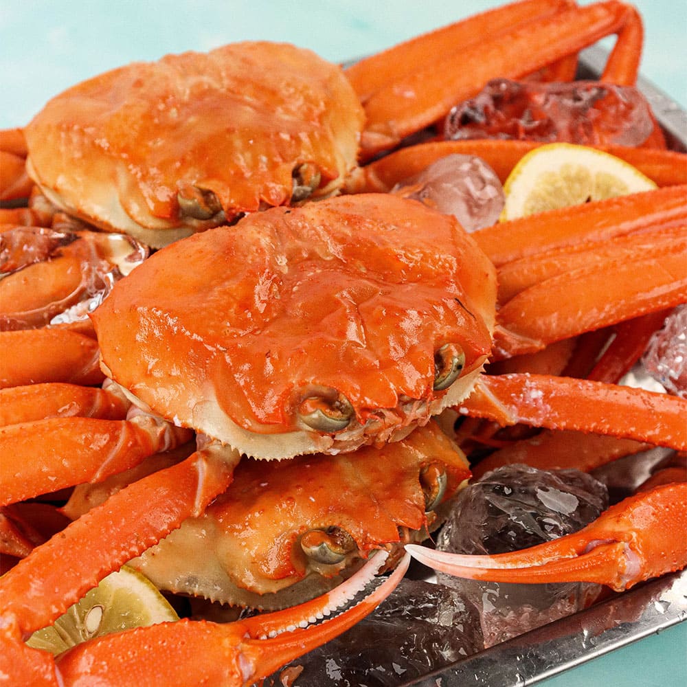 1770192261 thumbnail