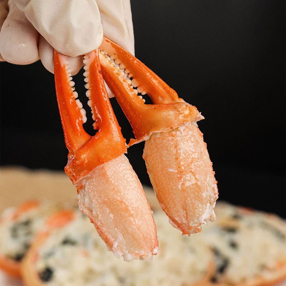 1770192263 thumbnail