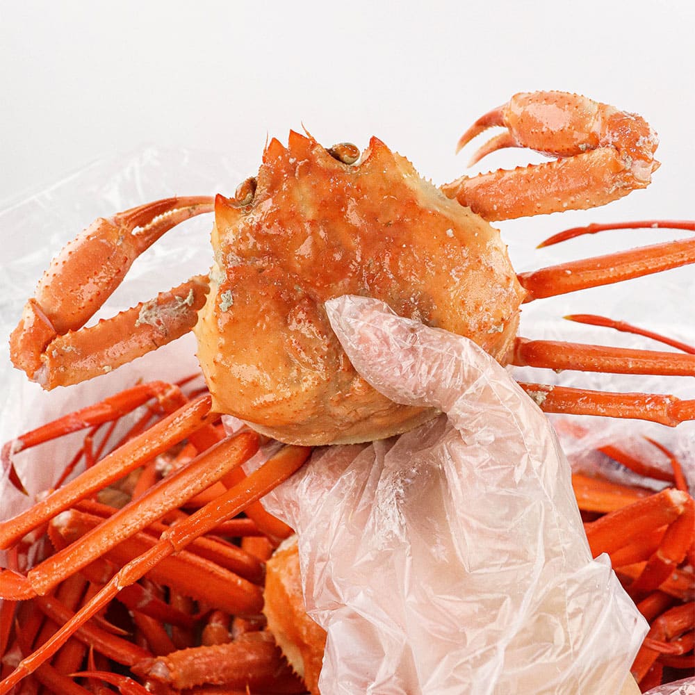 1770192264 thumbnail