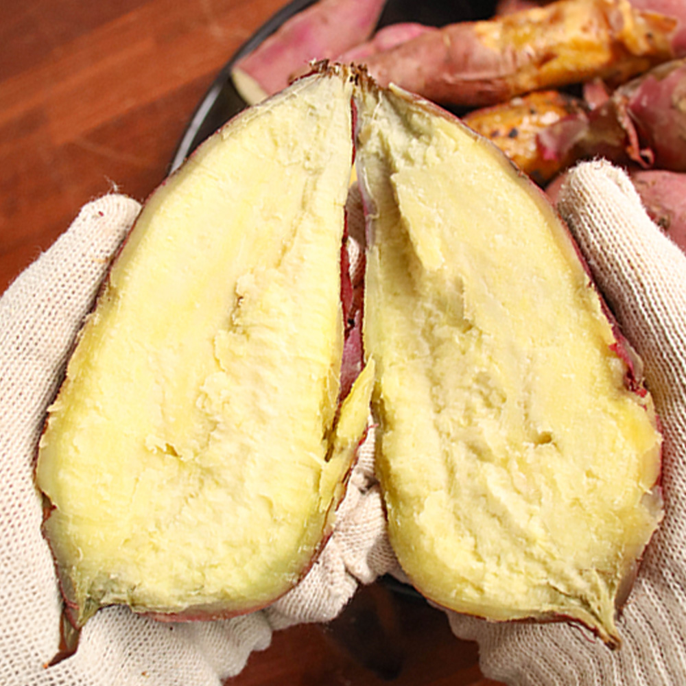 1770192267 thumbnail