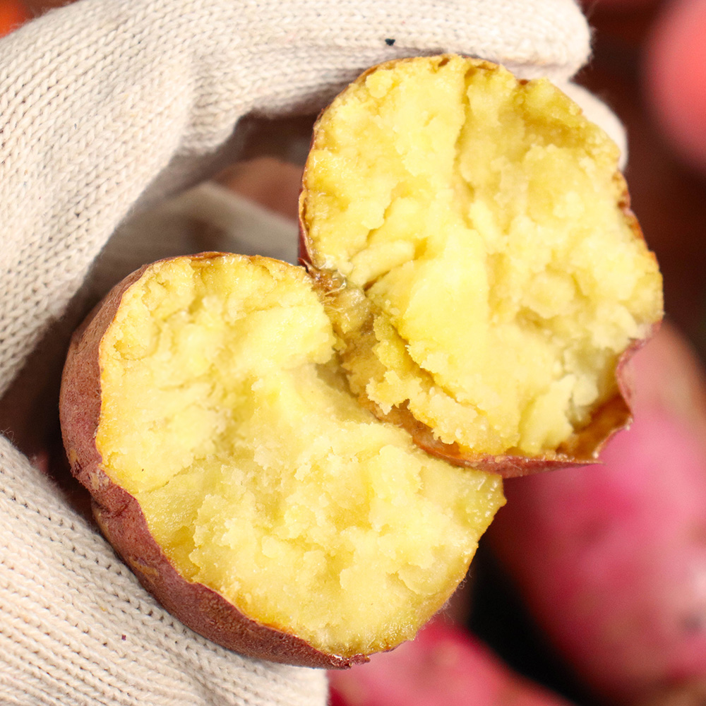 1770192268 thumbnail