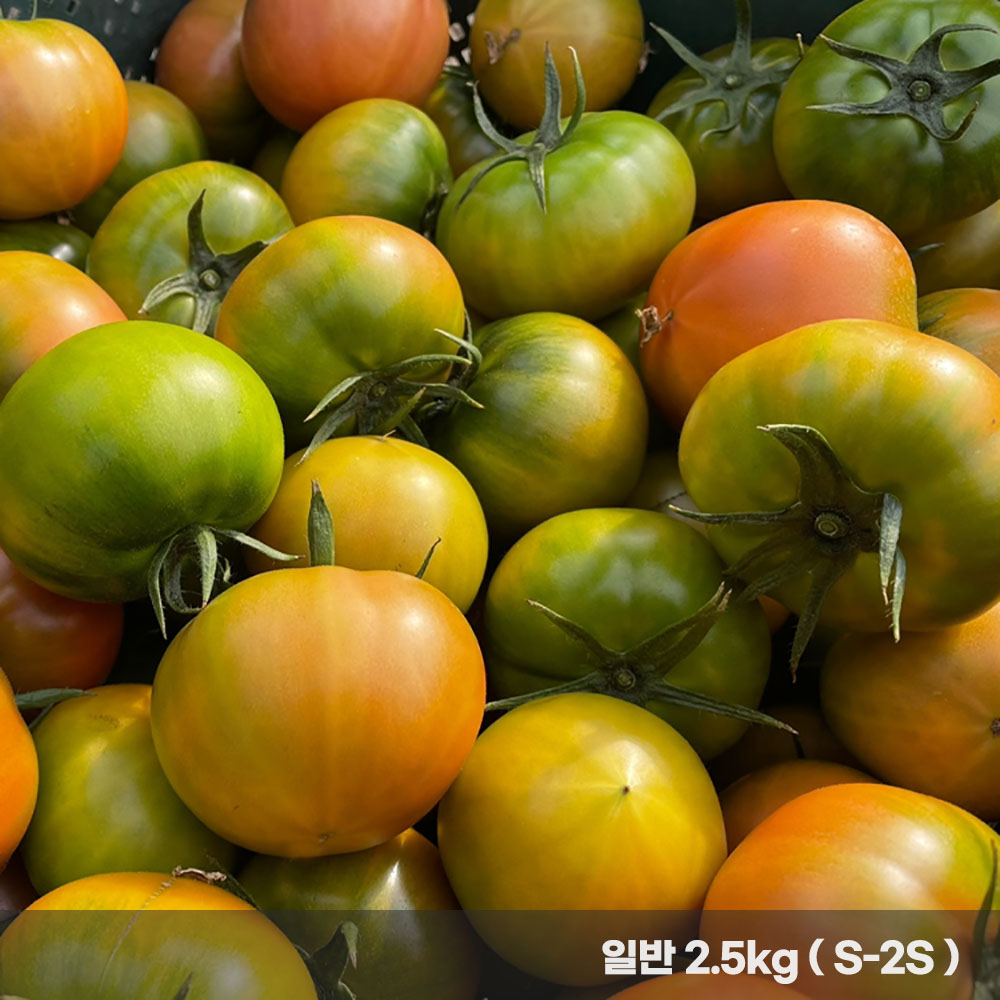 1770627423 thumbnail