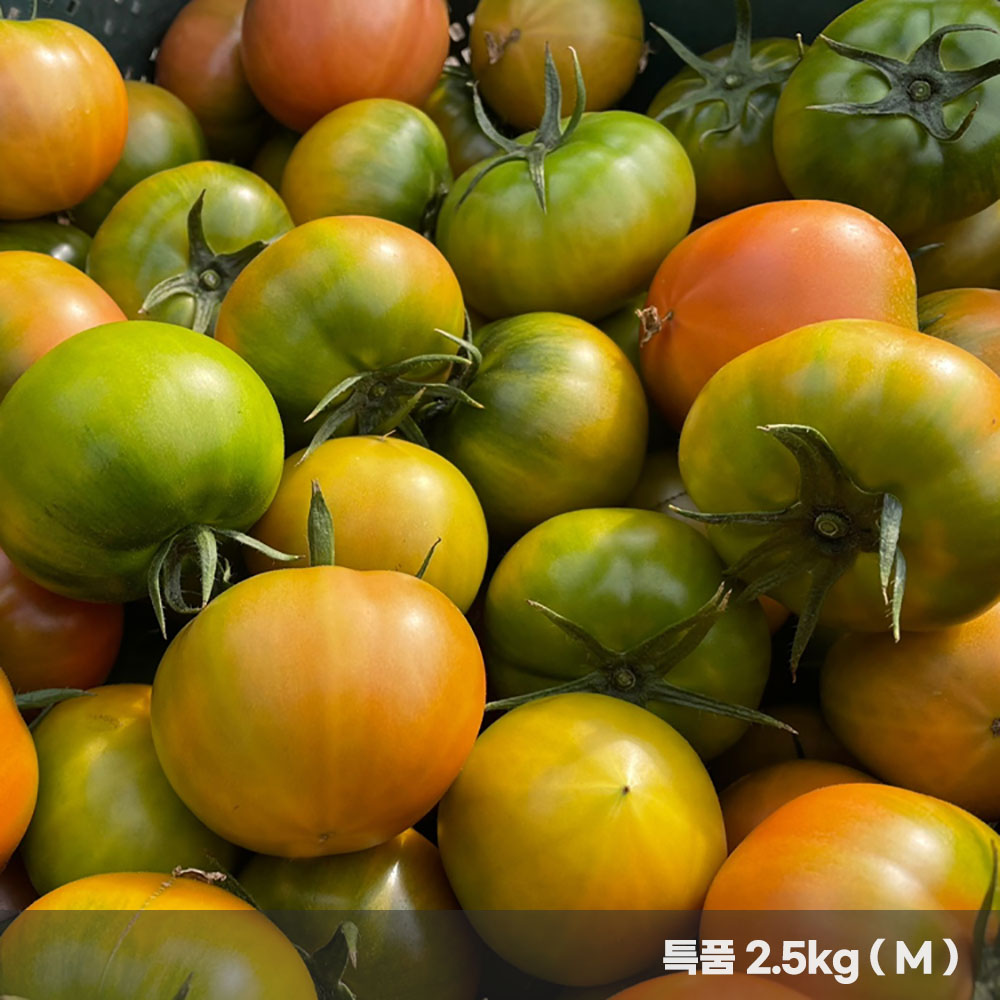 1770627425 thumbnail