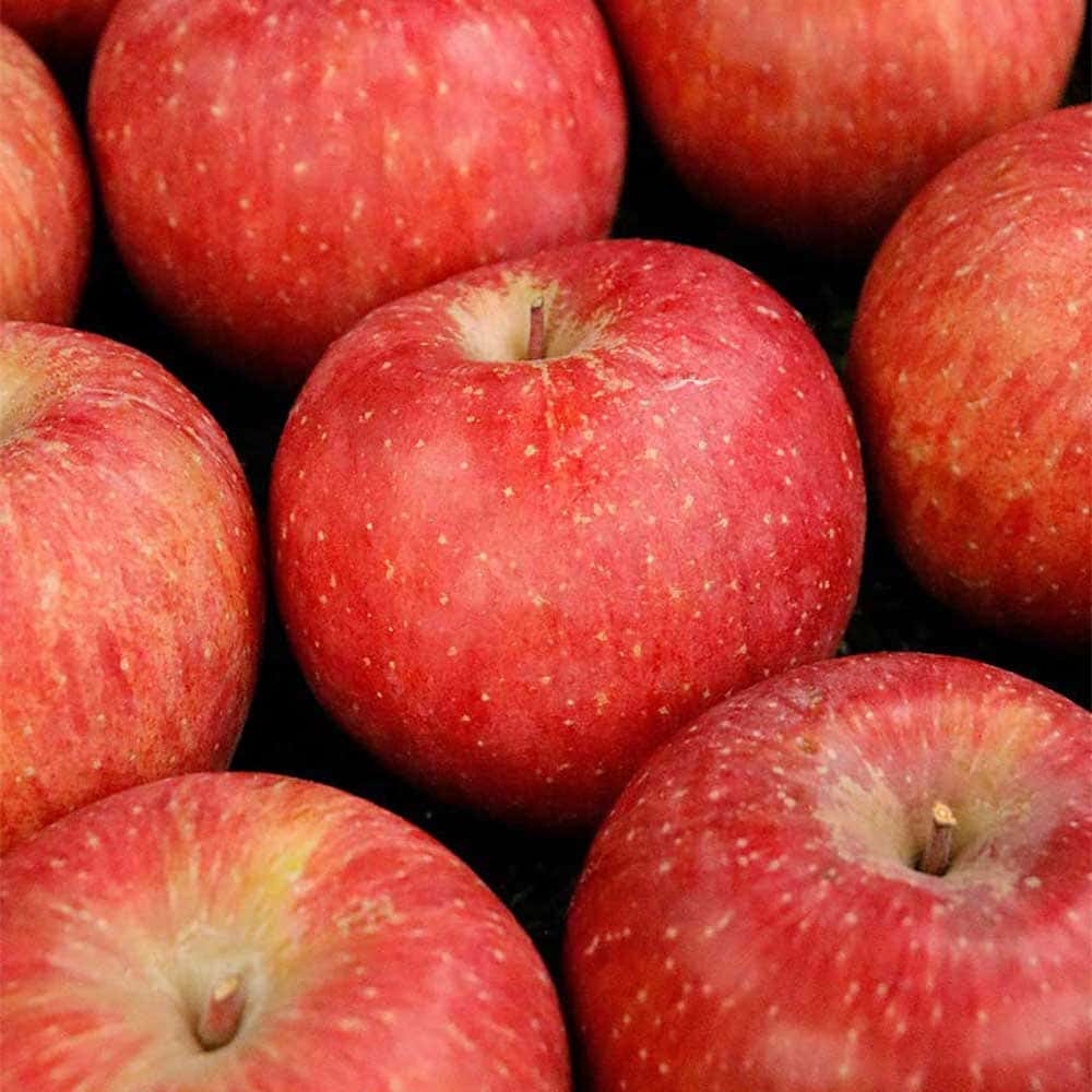 1770712590 thumbnail