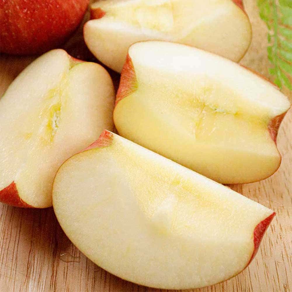 1770712592 thumbnail