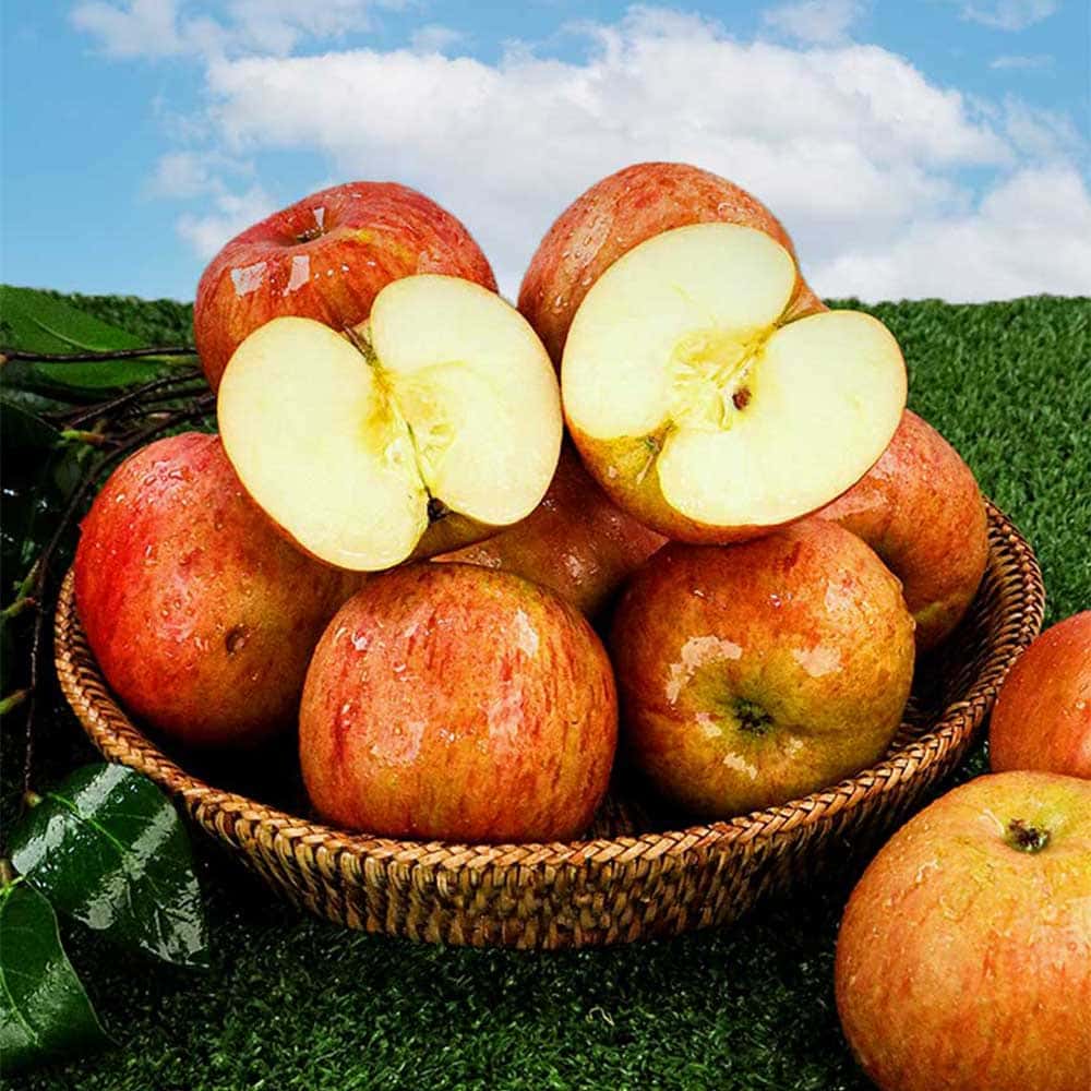 1770712593 thumbnail