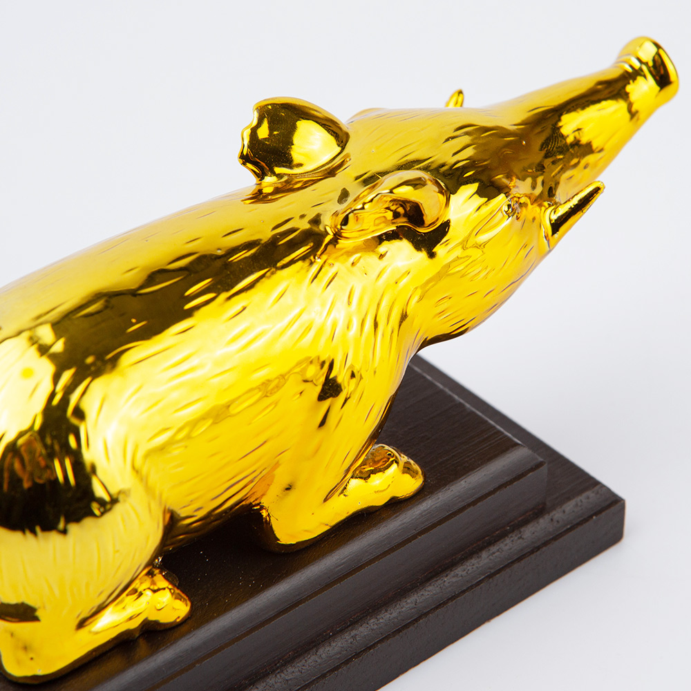 1770712600 thumbnail