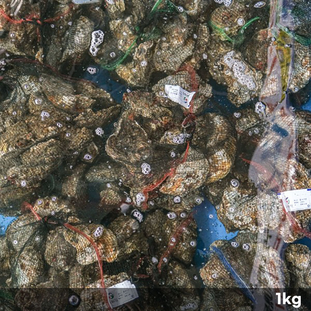 1770791837 thumbnail