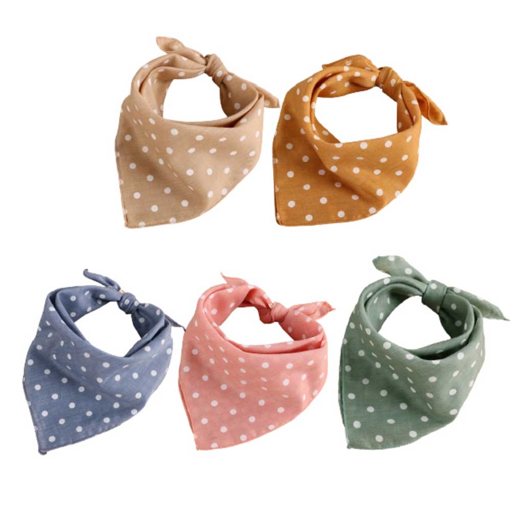 1770945646 thumbnail