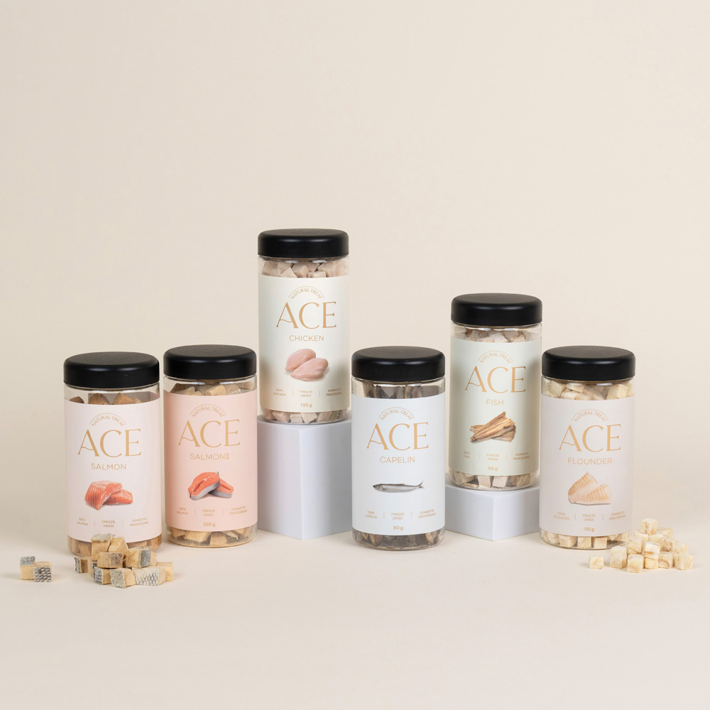 1771569078 thumbnail