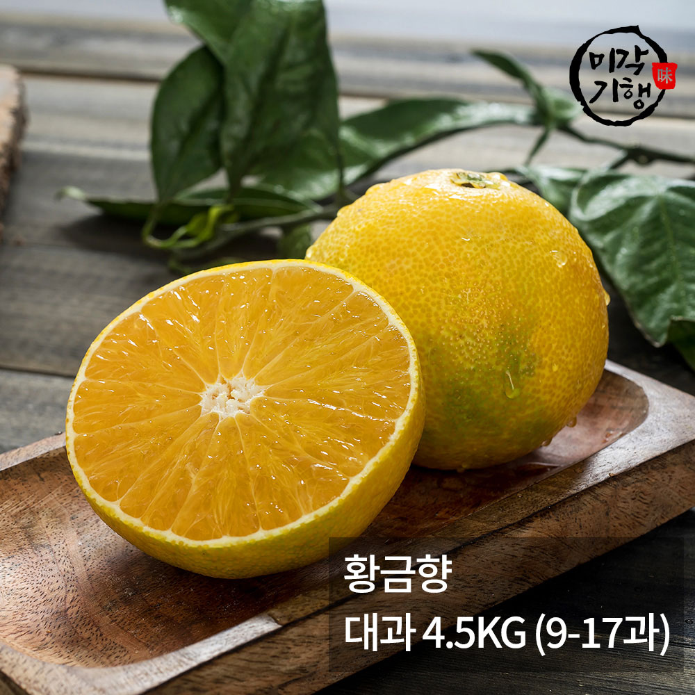 1771576876 thumbnail