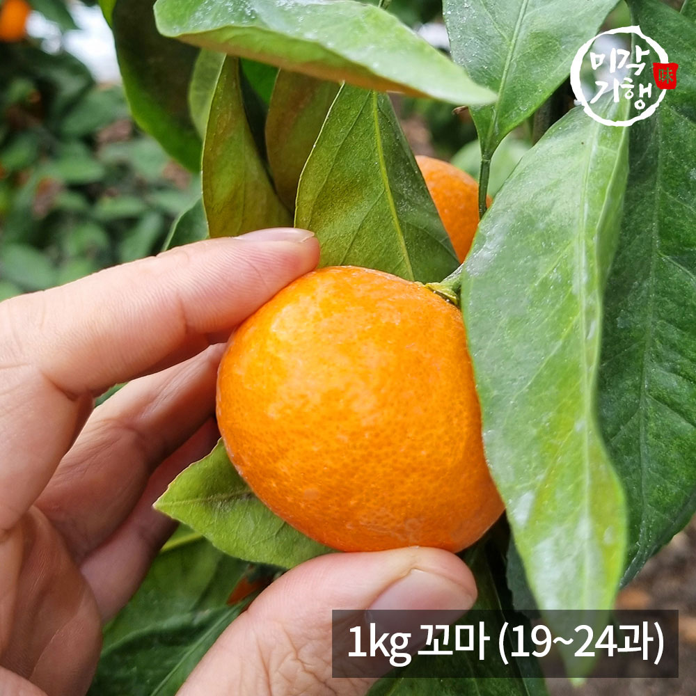 1771576887 thumbnail