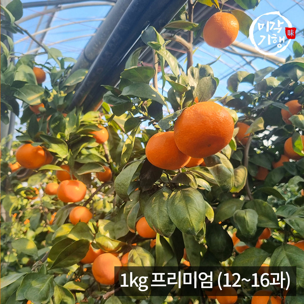 1771576890 thumbnail