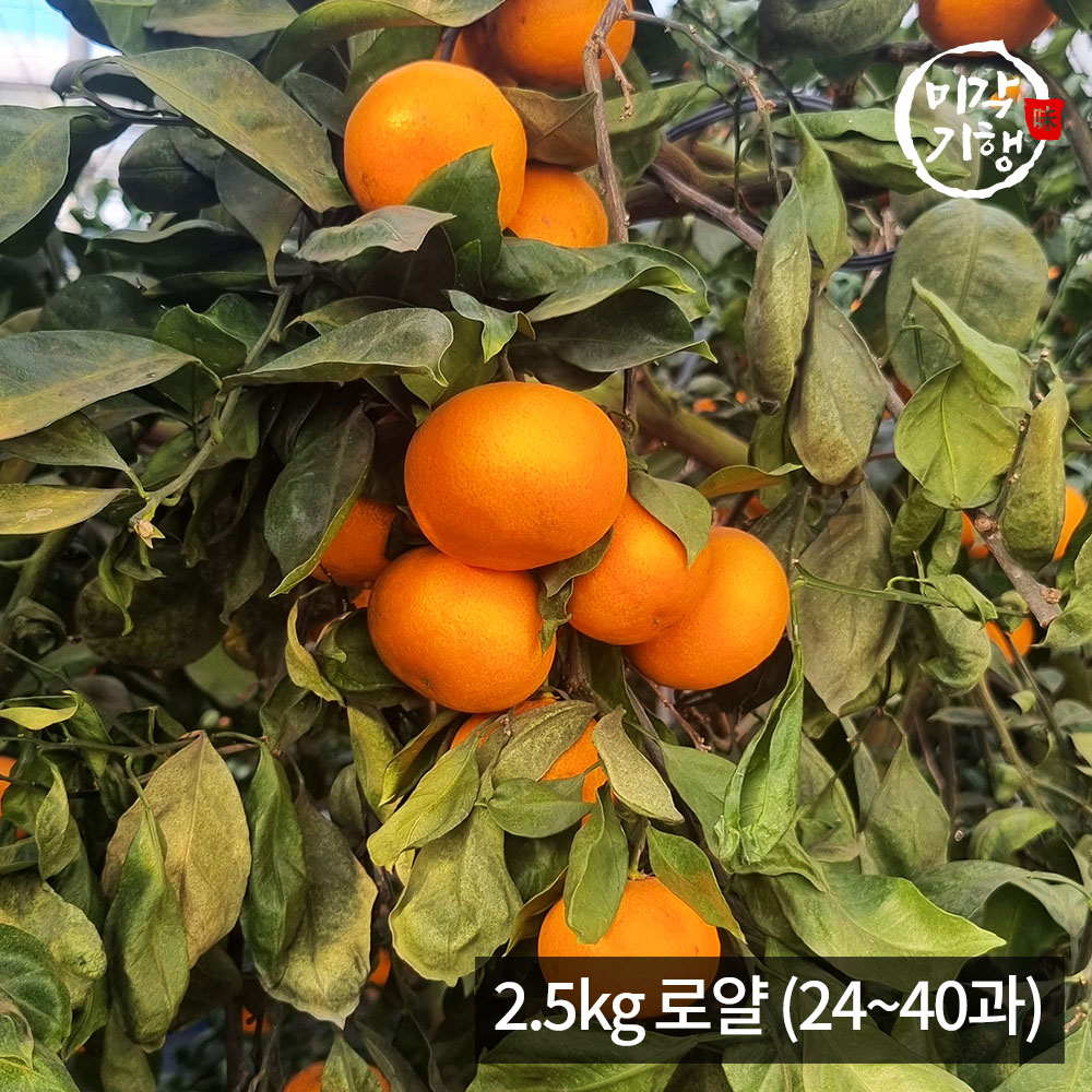 1771576898 thumbnail