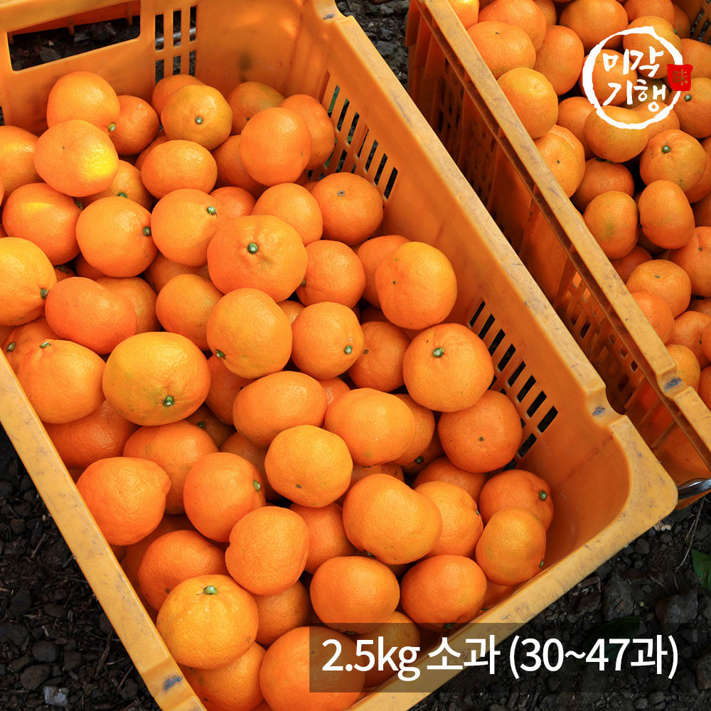 1771576899 thumbnail