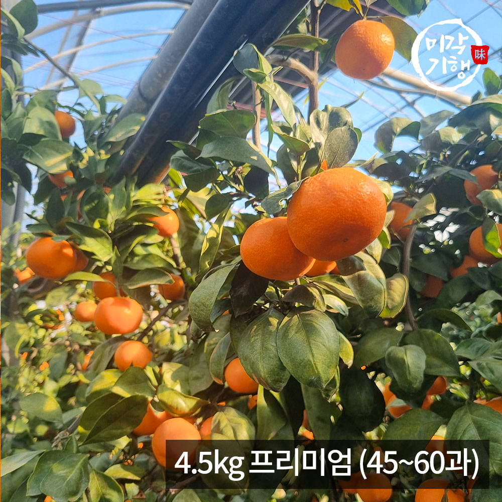 1771576905 thumbnail