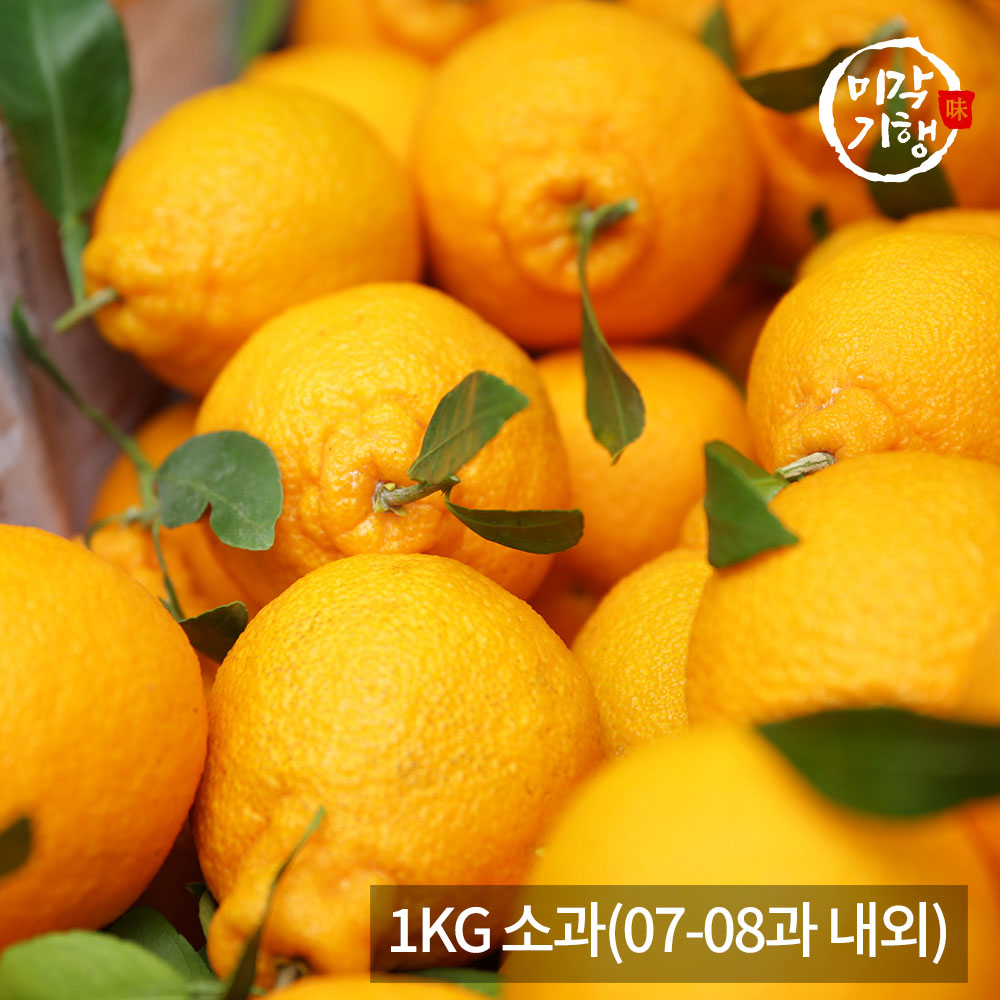 1771576908 thumbnail