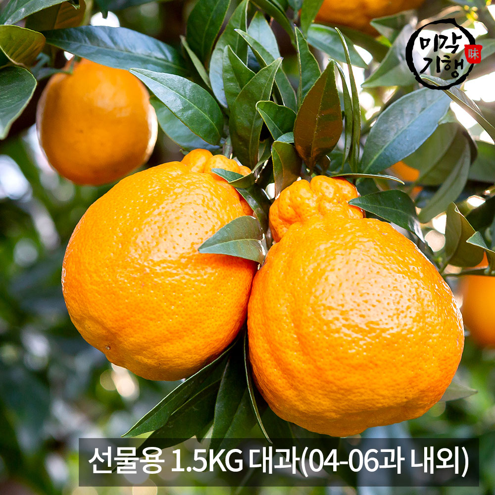 1771576919 thumbnail