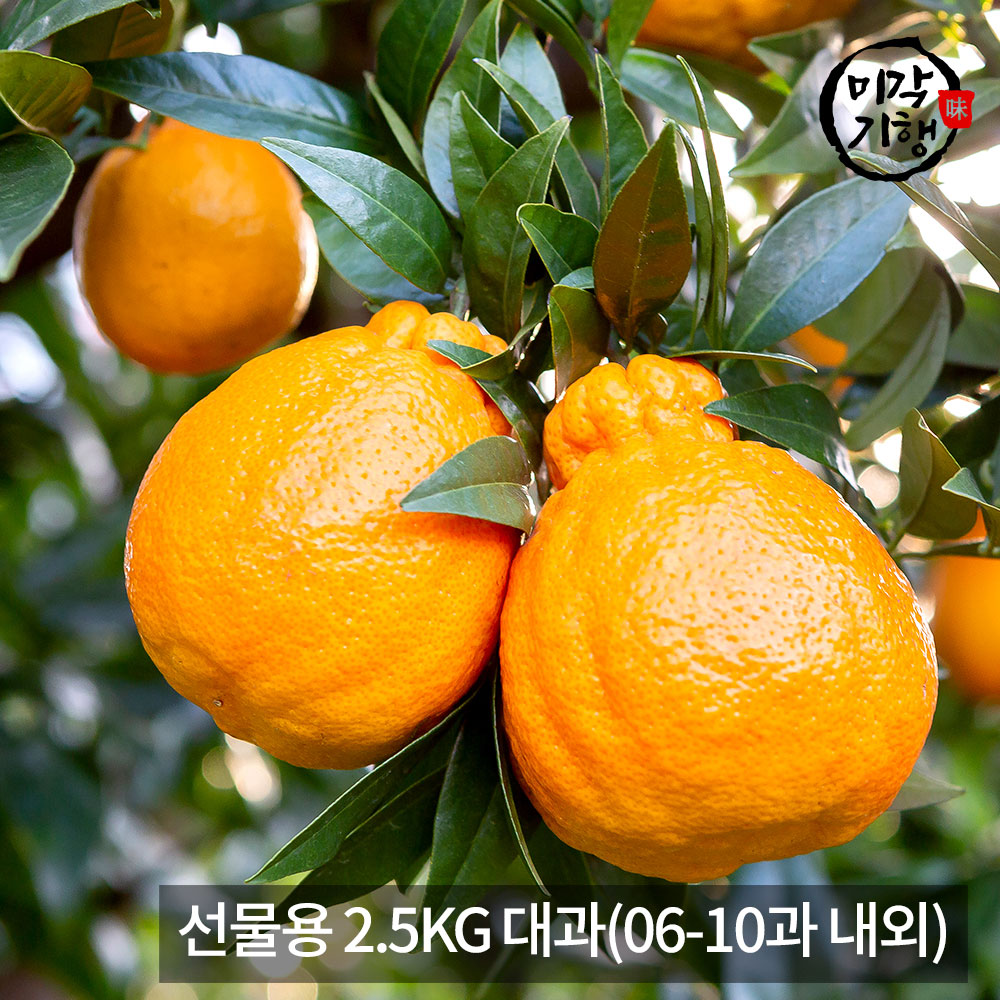 1771576922 thumbnail