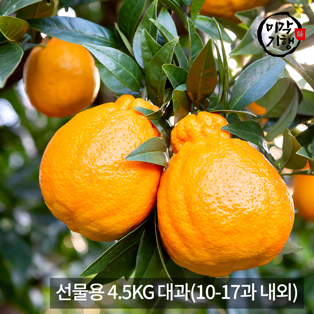 1771576925 thumbnail