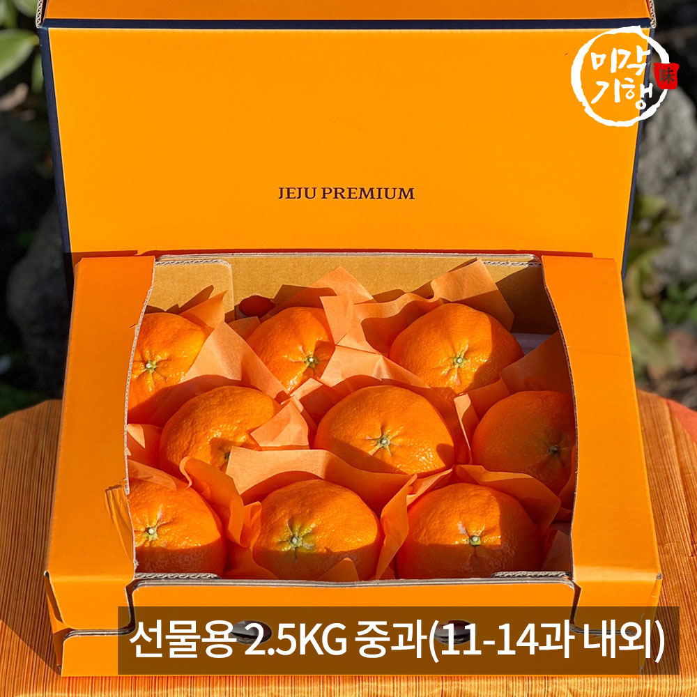 1771576939 thumbnail