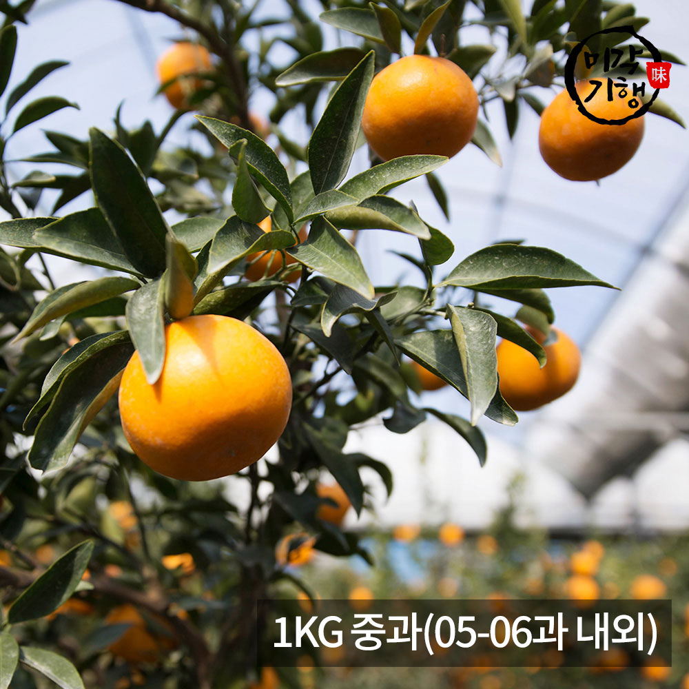 1771576945 thumbnail