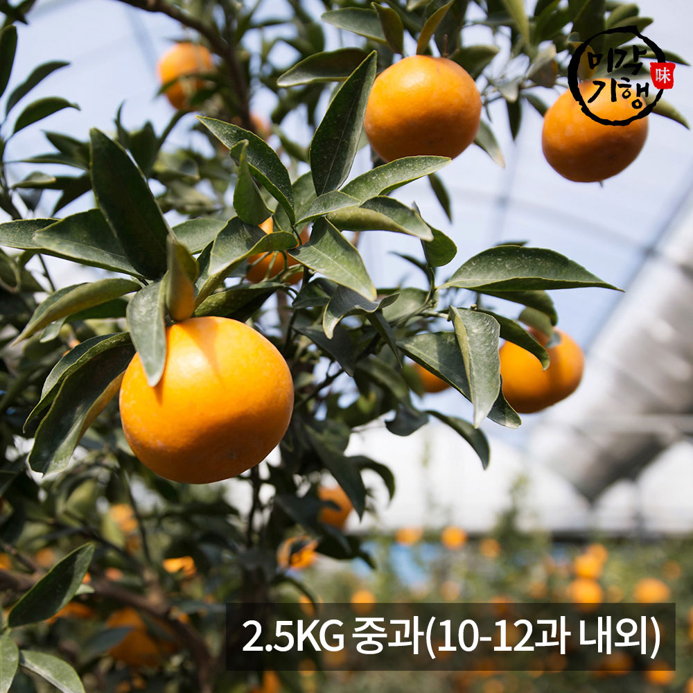 1771576948 thumbnail