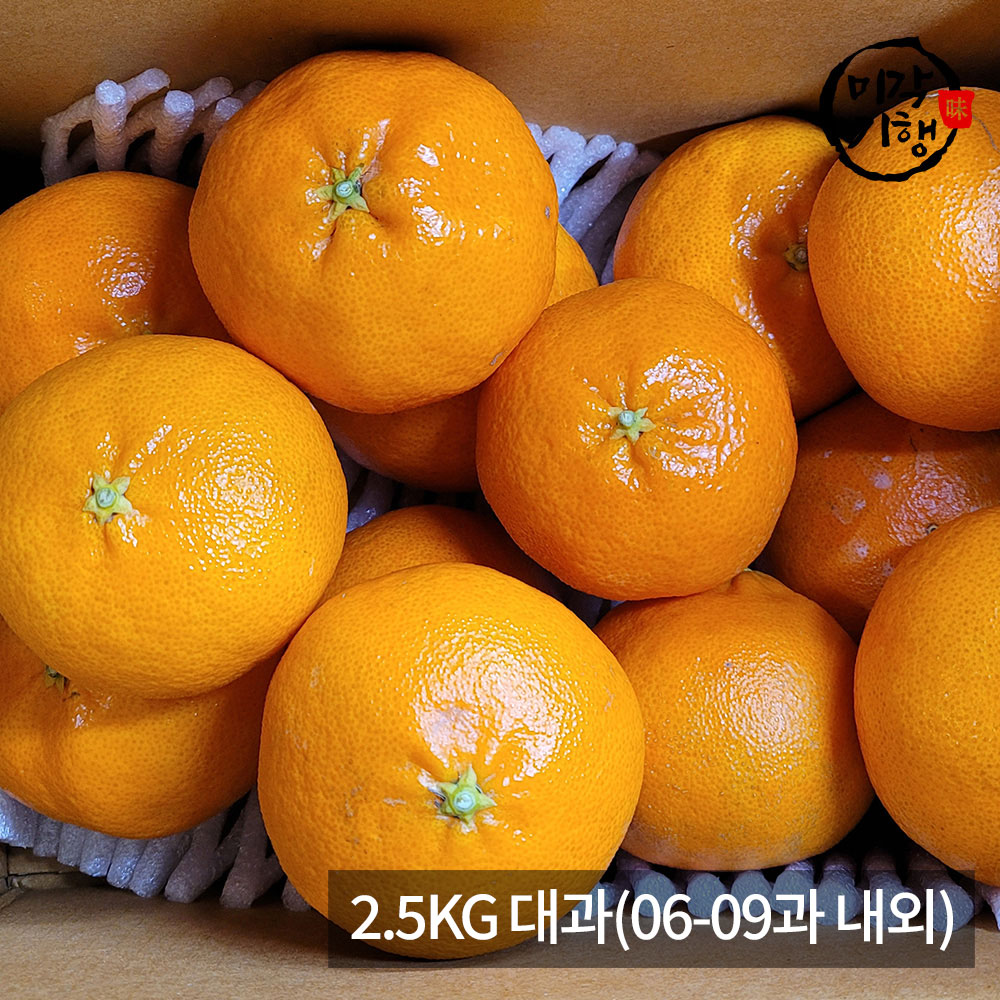 1771576949 thumbnail