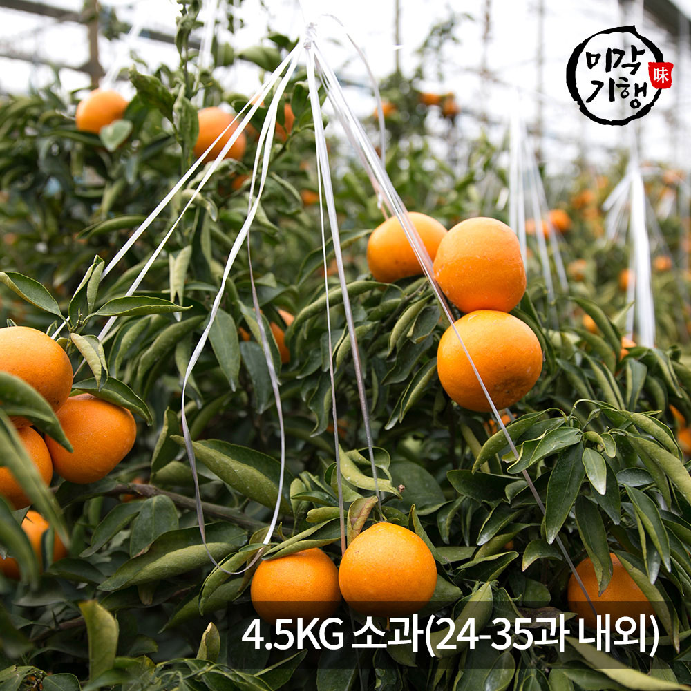 1771576950 thumbnail