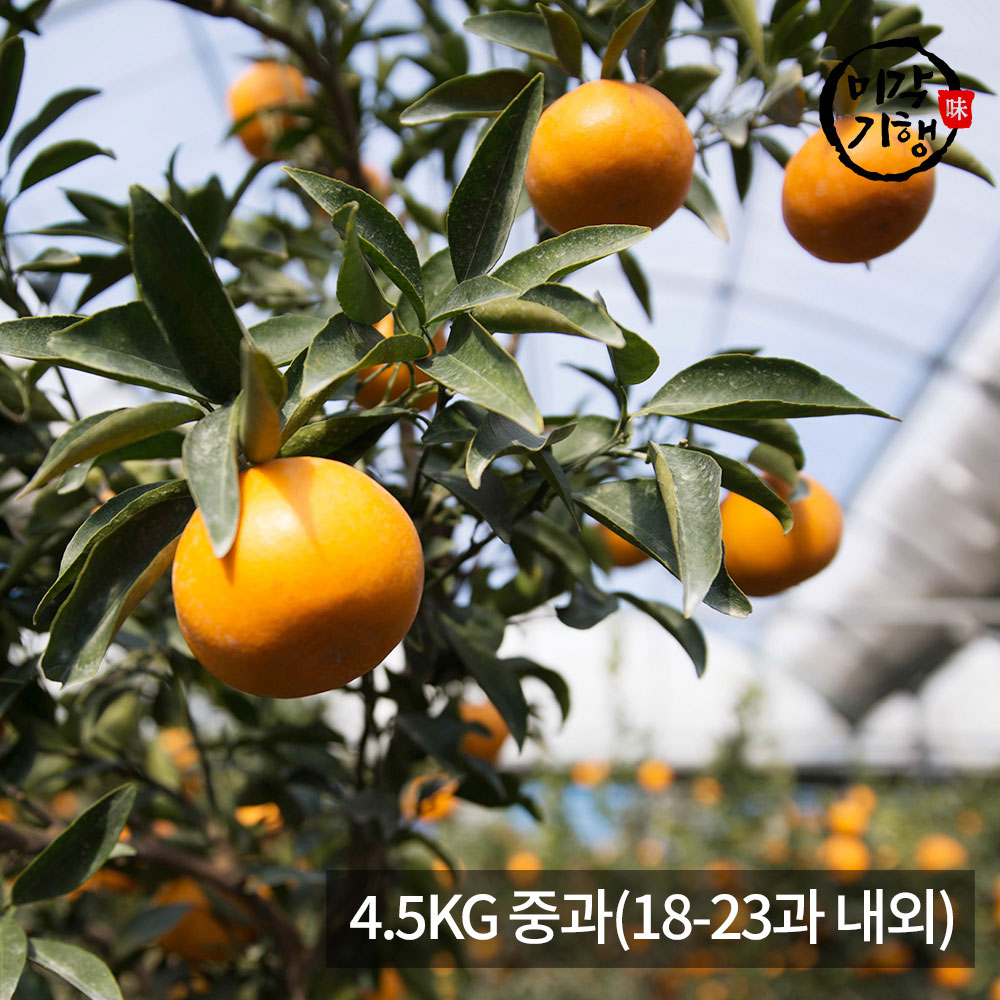 1771576951 thumbnail