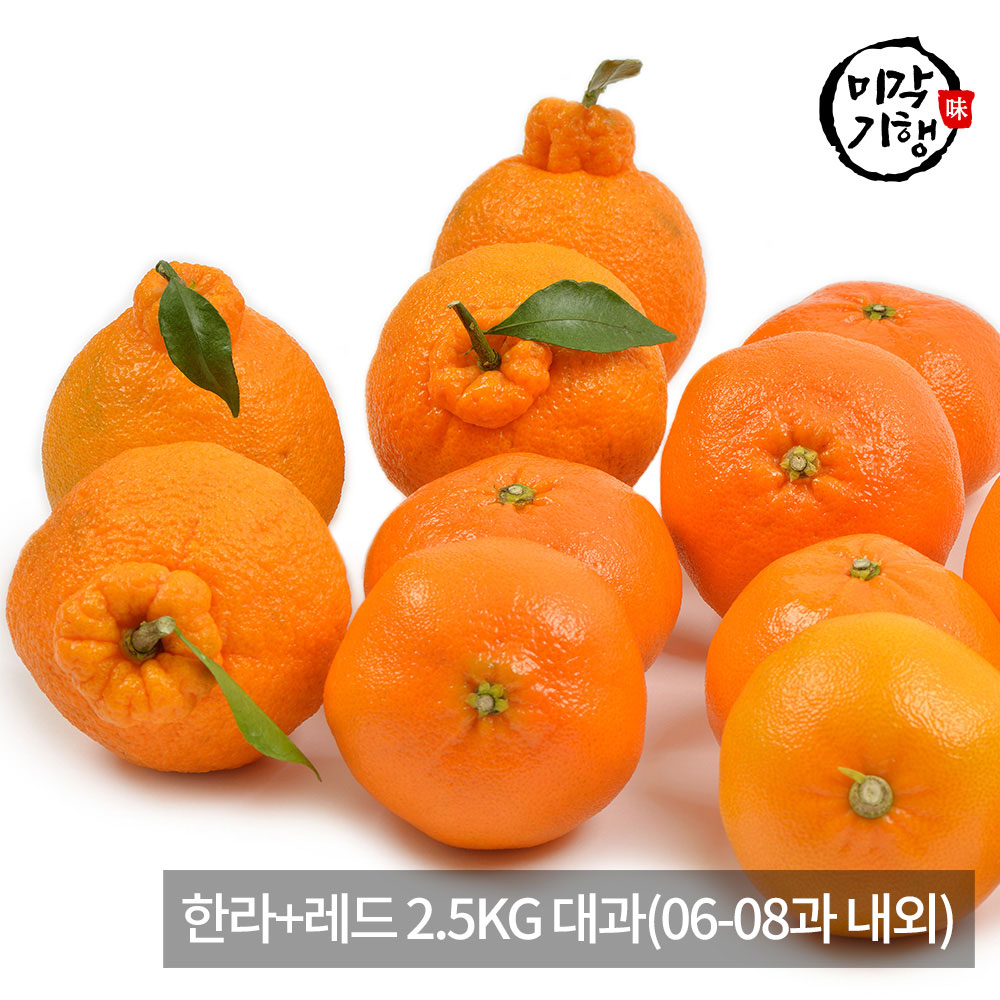 1771576971 thumbnail