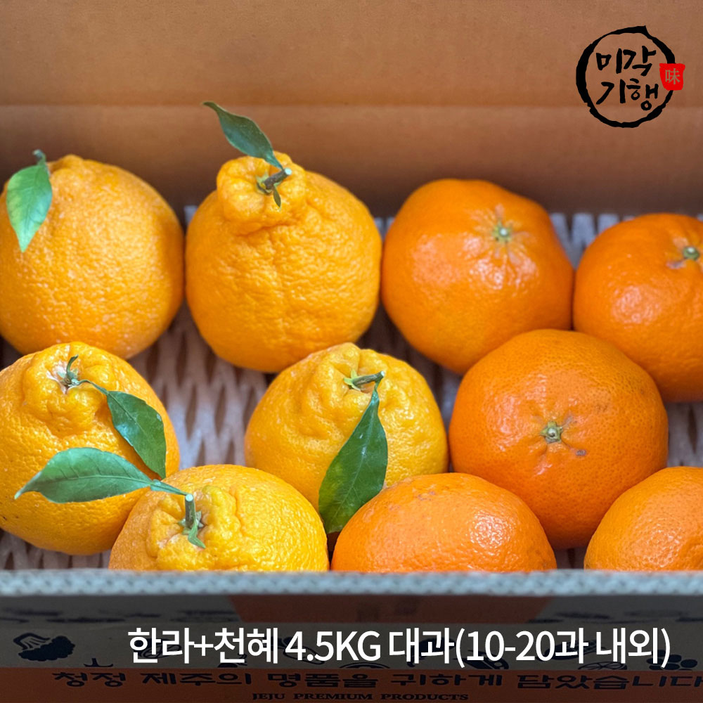 1771576975 thumbnail