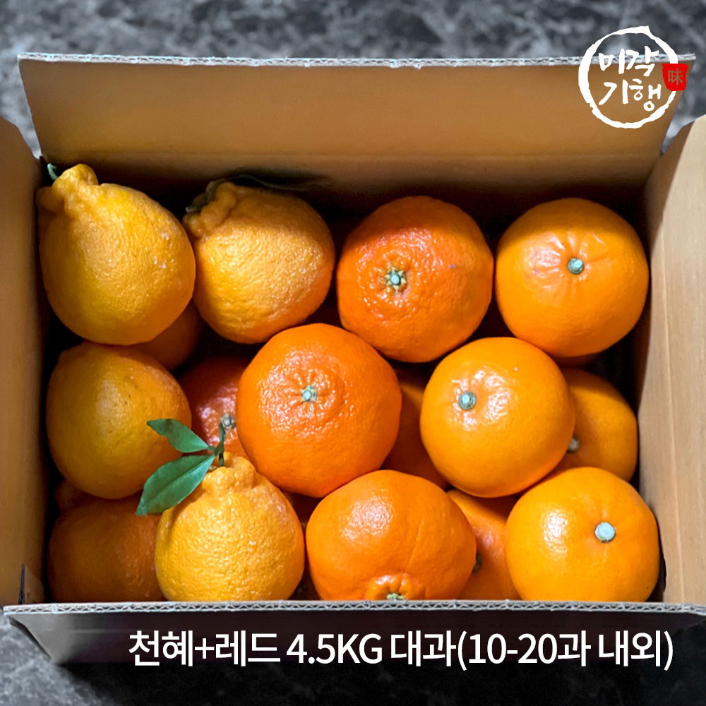 1771576979 thumbnail