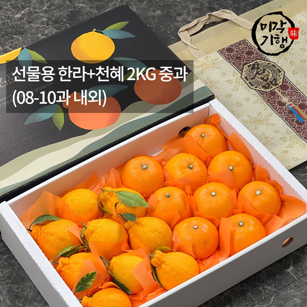 1771576980 thumbnail