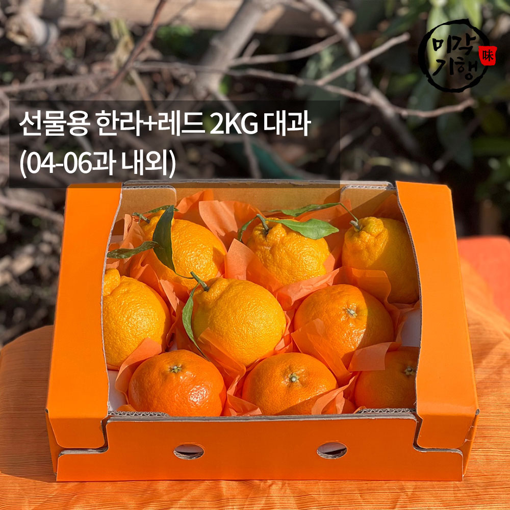 1771576983 thumbnail