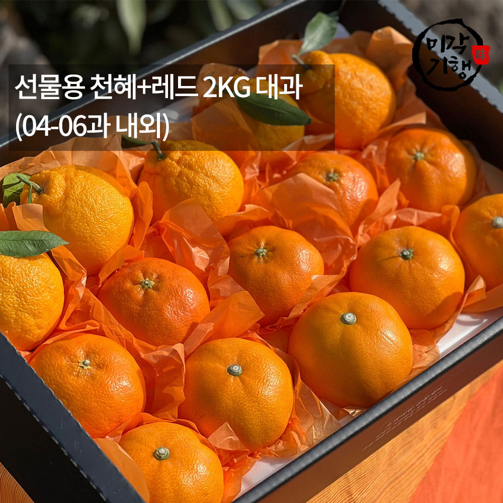 1771576985 thumbnail