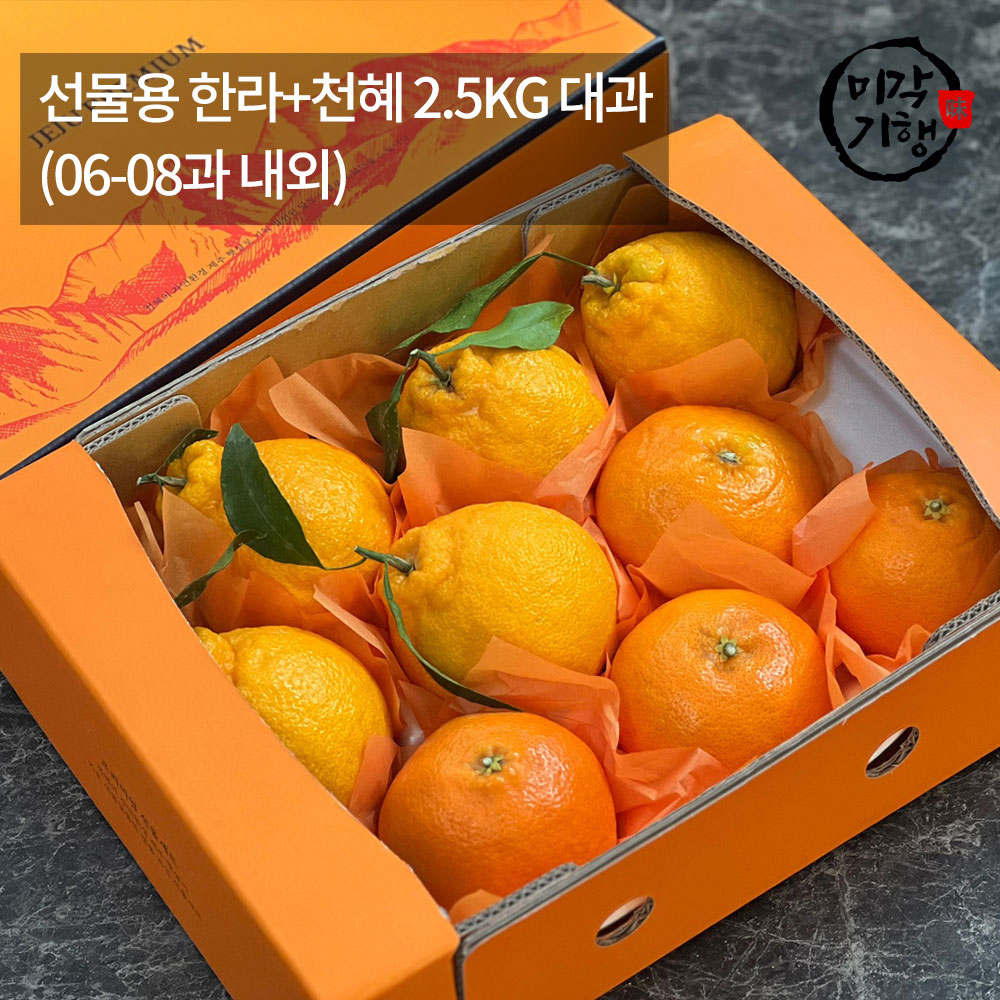 1771576987 thumbnail