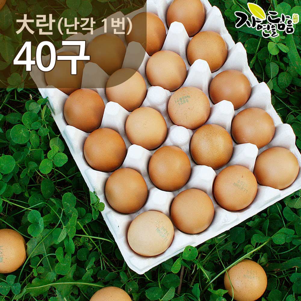 1771824862 thumbnail