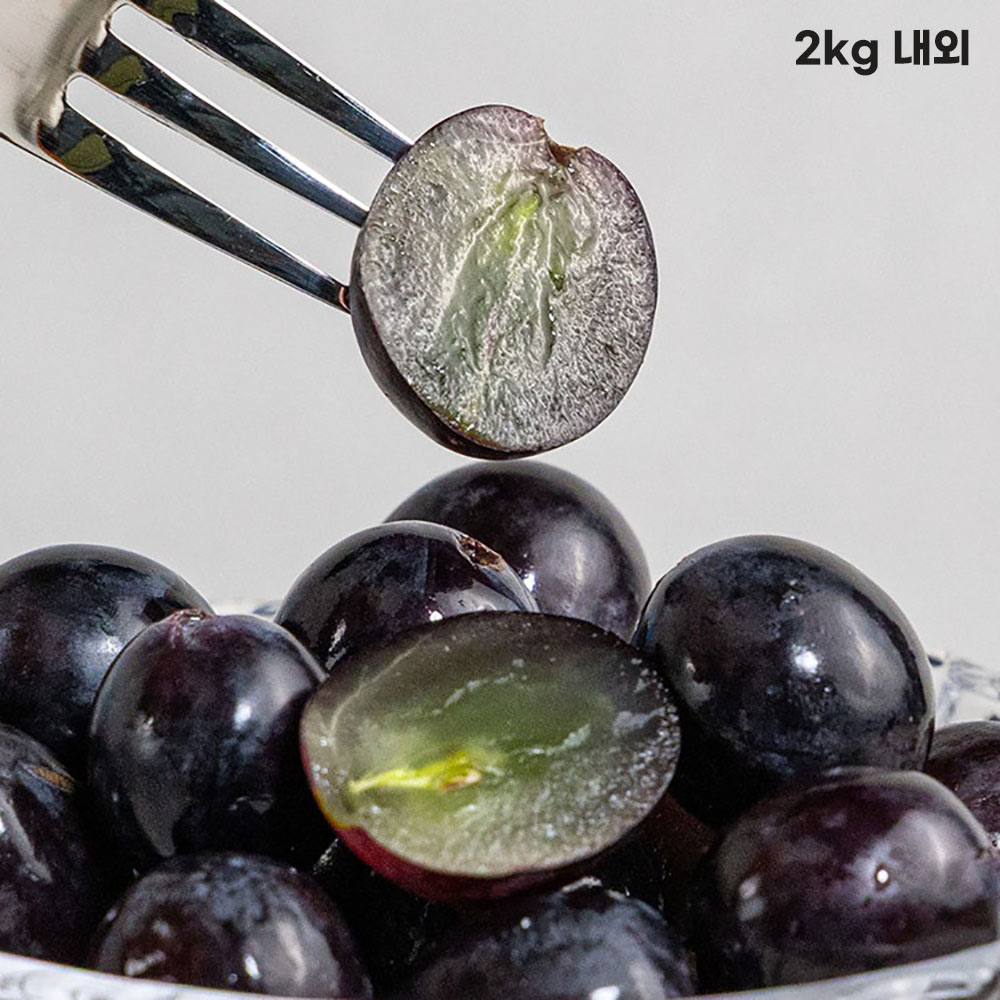 1771836055 thumbnail